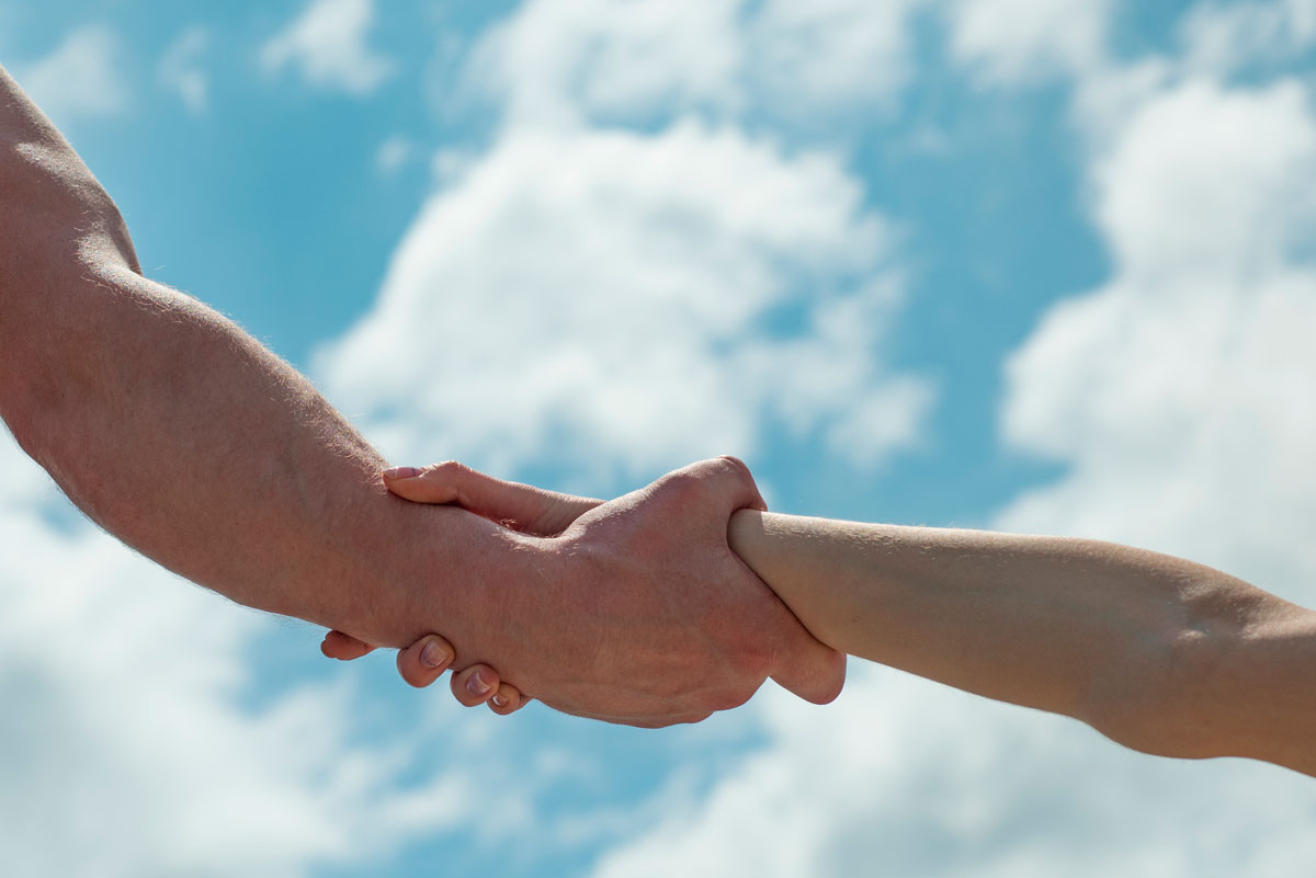 El misterio de la conexión humana-The mystery of the human connection.