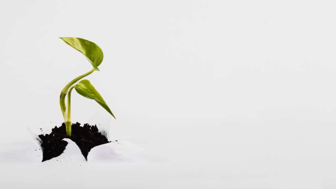 romper el ciclo y crear una mejor generación